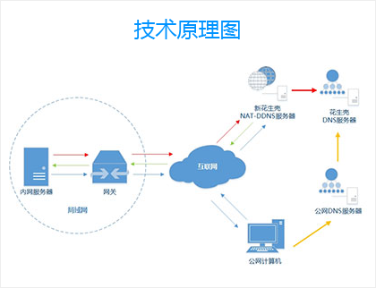 什么是NAT-DDNS技术
